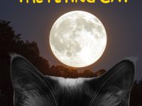 online bed time stories, cat stories for kids