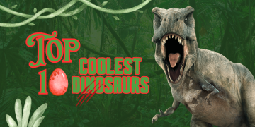 Dinosaurs