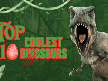 Dinosaurs